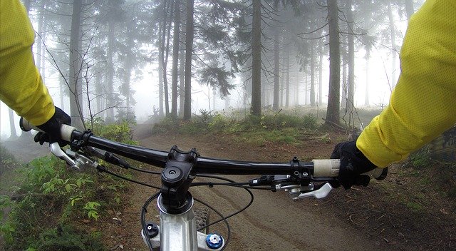 Cyklistika v lese